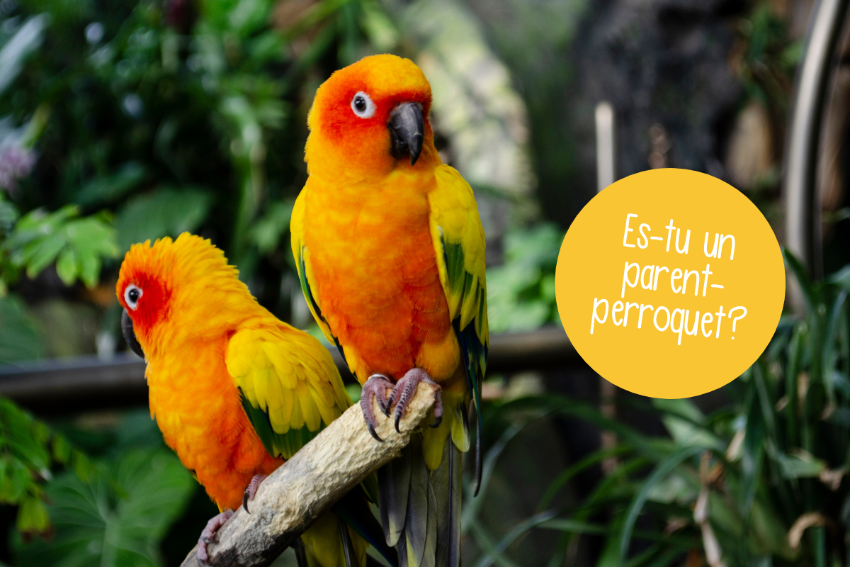 Es-tu un parent-perroquet?
