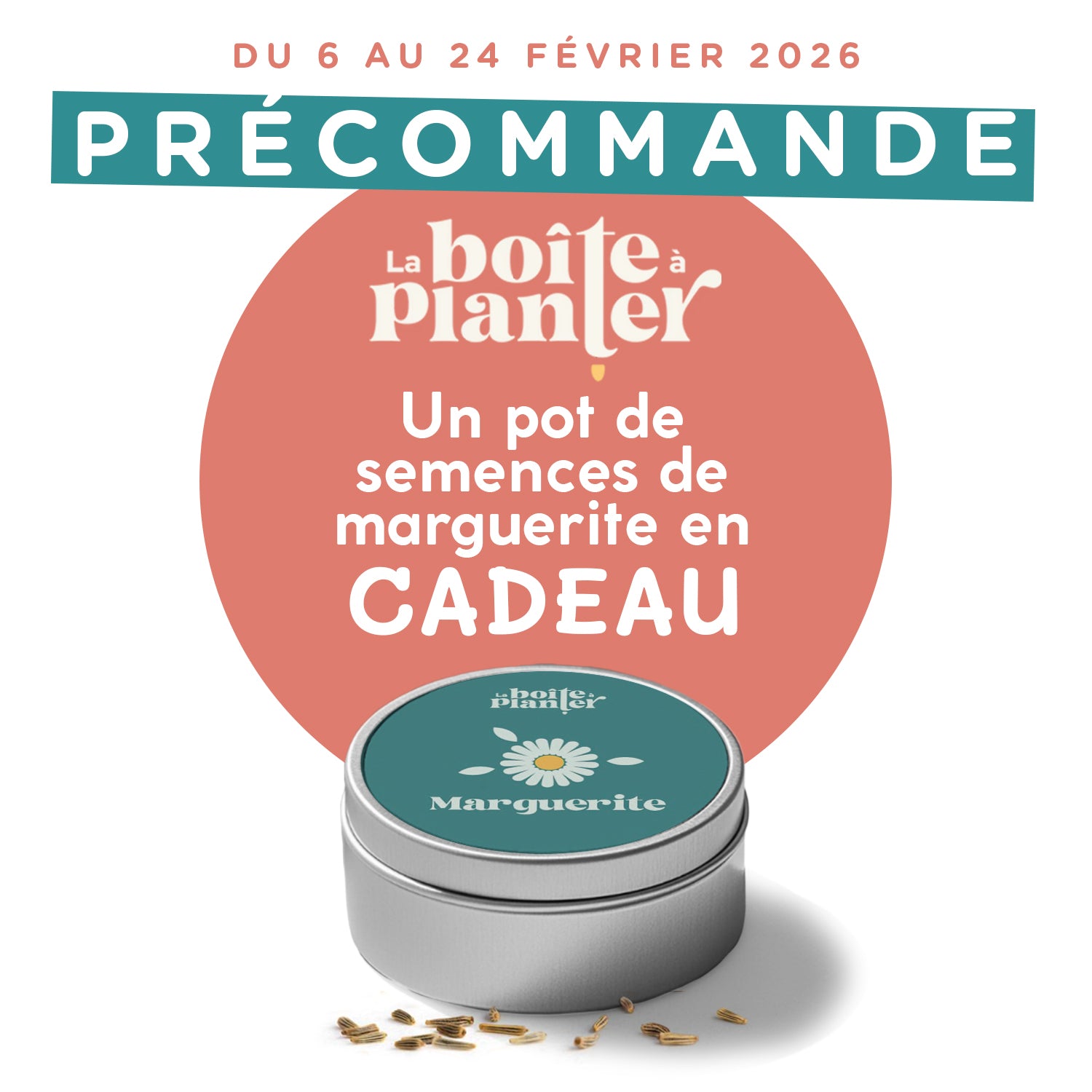 Pas de pétales, ça m'est égal !