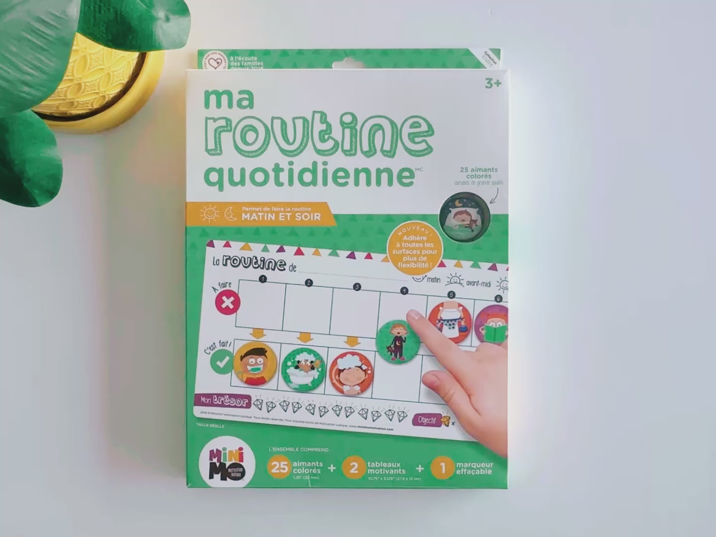 Ma routine quotidienne