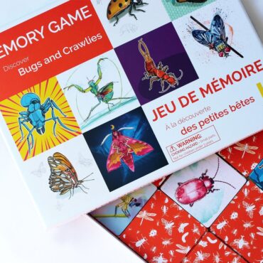 Memory Game: Discovering Bugs and Crawlies